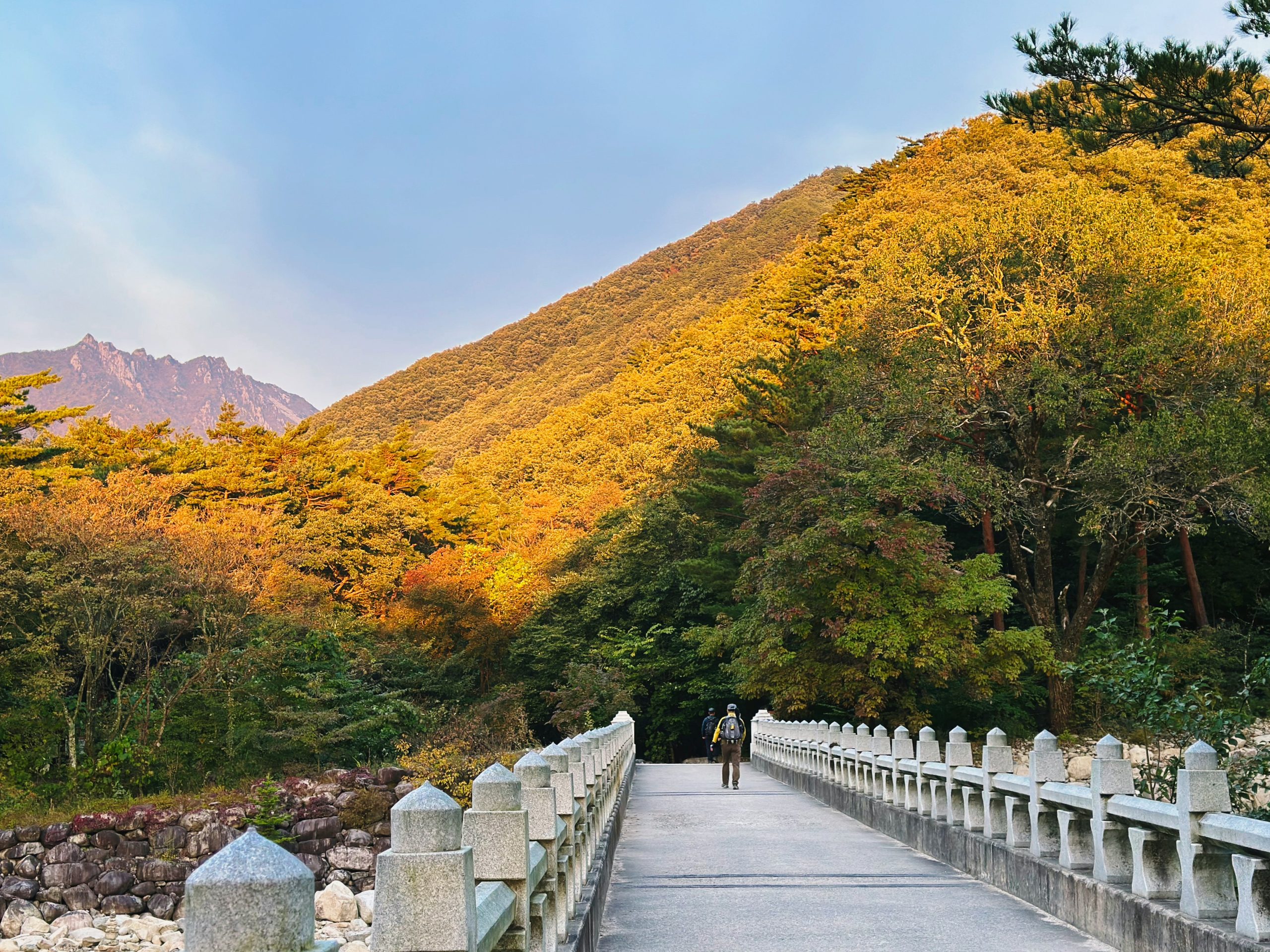 Seoraksan valley and forest in Gangwon, South Korea