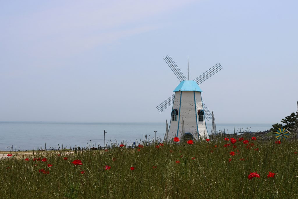 Windmill and coastal landscape at Ganjeolgot in Ulsan