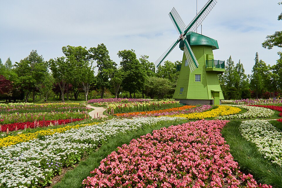 Flower gardens and windmill at Suncheon Bay National Garden in Jeonnam-Gwangju