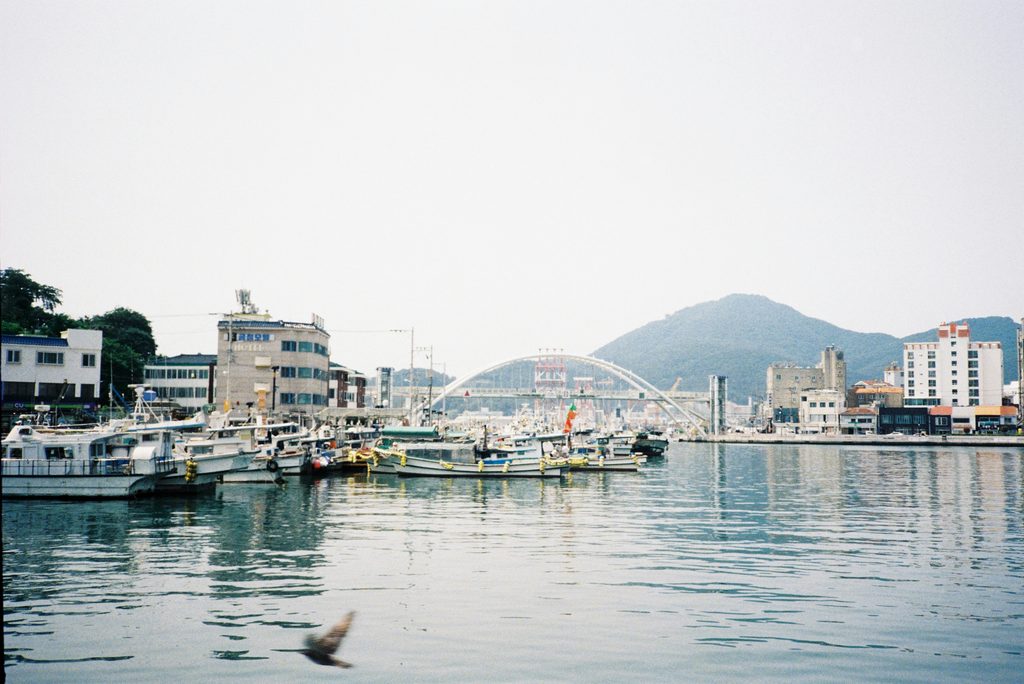 Boats in Tongyeong harbor in Gyeongsangnam-do, South Korea